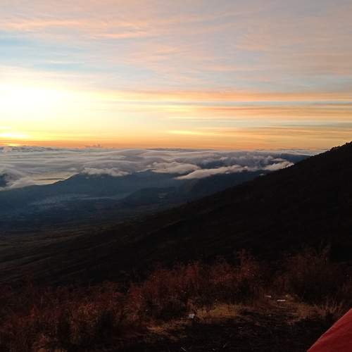 Photo #7260875