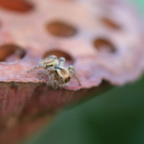 Photo #7261269