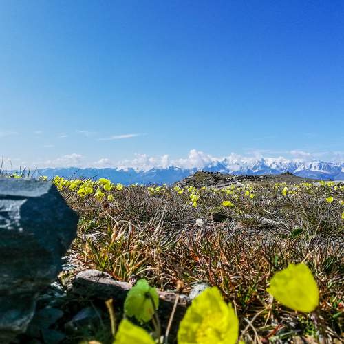 Photo #7261431