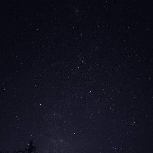Photo #7261693