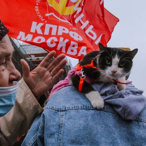 Photo #7261845