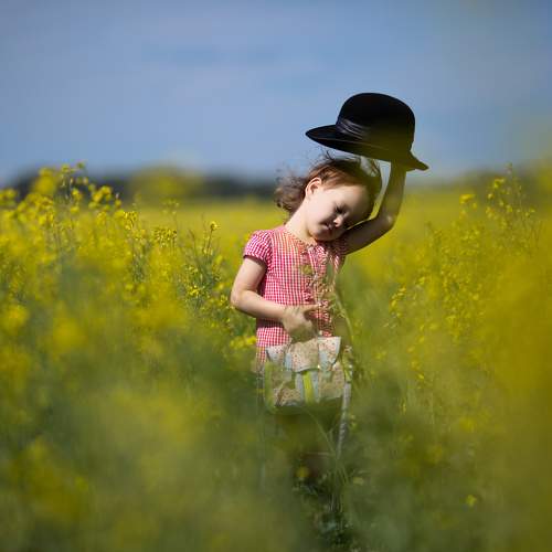 Photo #7261898