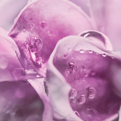 Photo #7261927