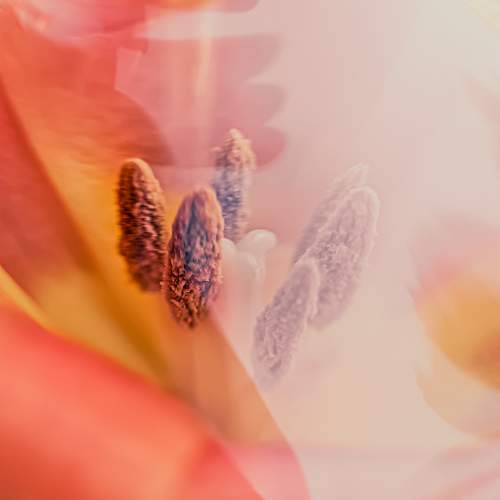 Photo #7261928