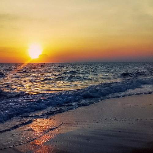 Photo #7261998