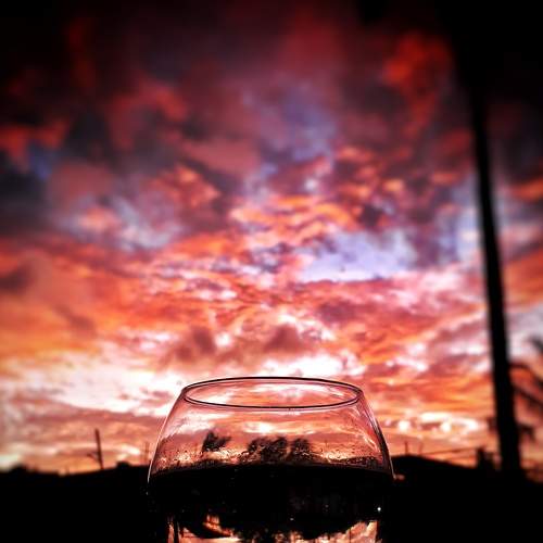 Photo #7262057