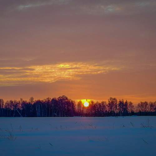 Photo #7262226