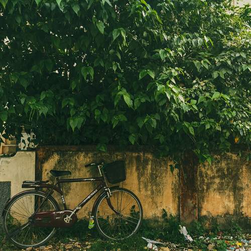 Photo #7262402