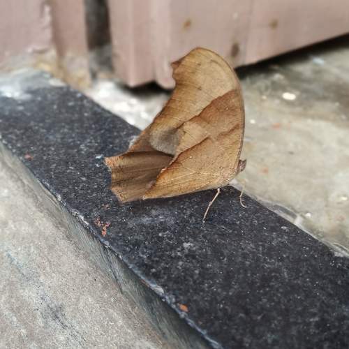 Photo #7262577