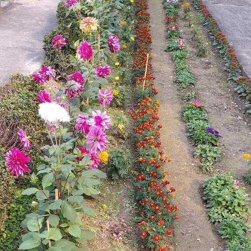 Photo #7262578