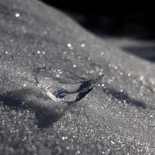 Photo #7262625