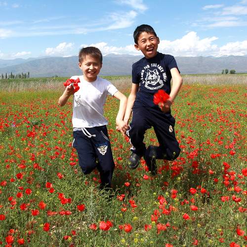 Photo #7263062