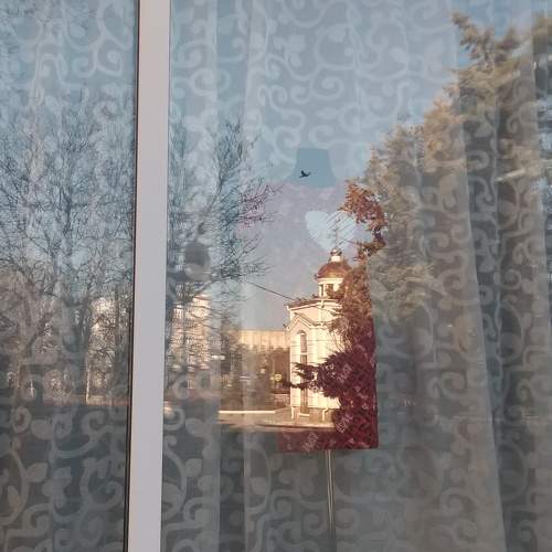 Photo #7263153