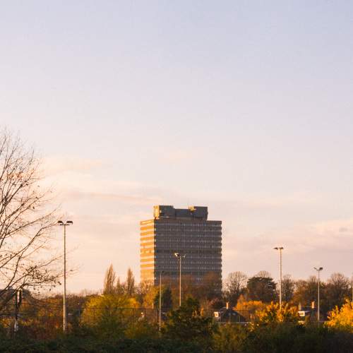 Photo #7263479