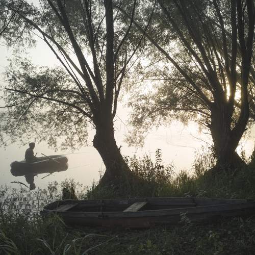 Photo #7263596