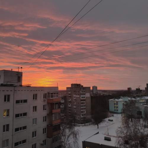Photo #7263692