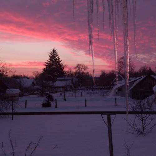 Photo #7263832