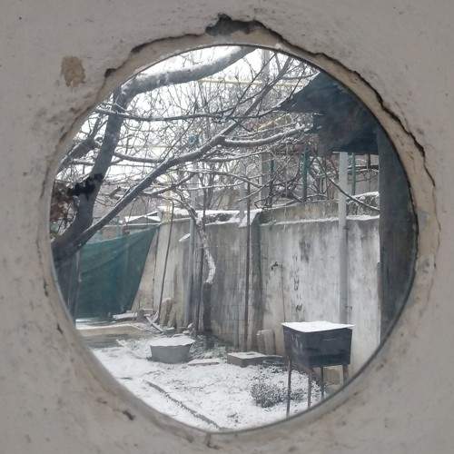 Photo #7263849