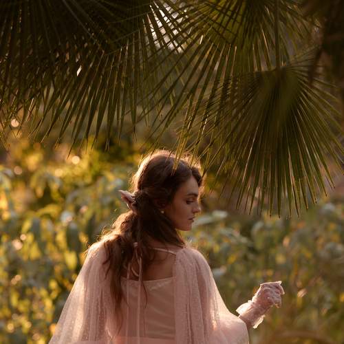Photo #7263950