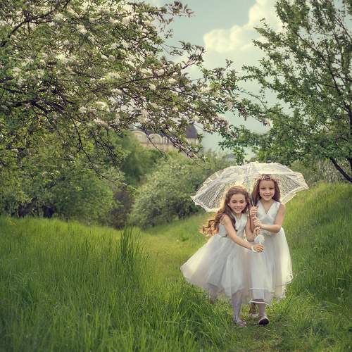 Photo #7264286