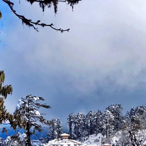 Photo #7264320