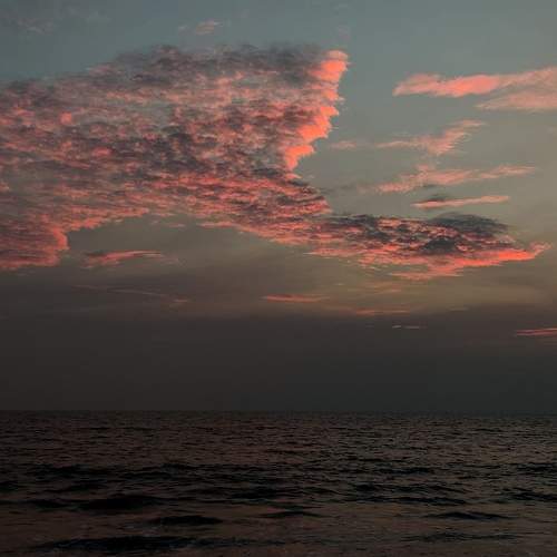 Photo #7264592