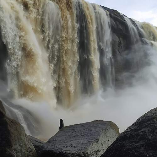 Photo #7264634