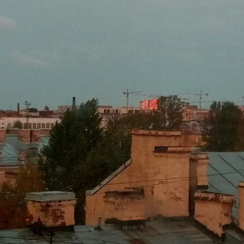 Photo #7264680