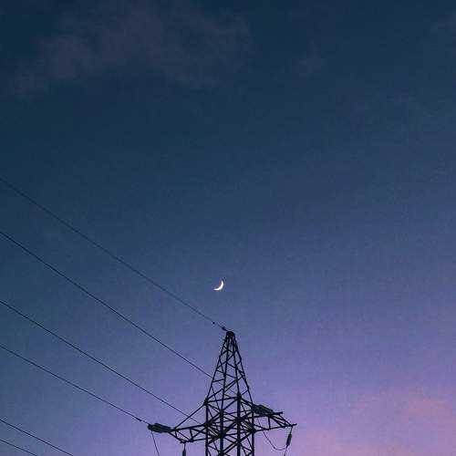 Photo #7264965