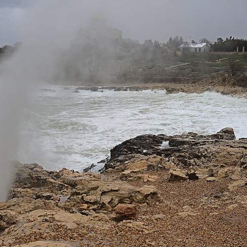 Photo #7265003