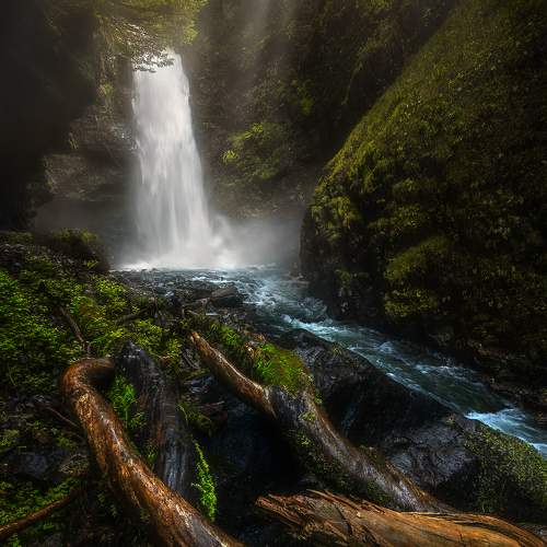 Photo #7265328