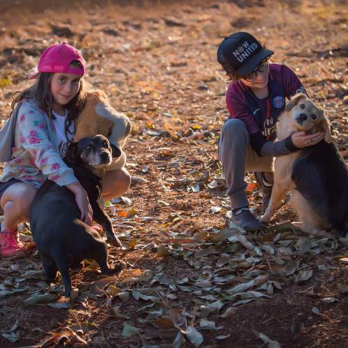 Photo #7266132
