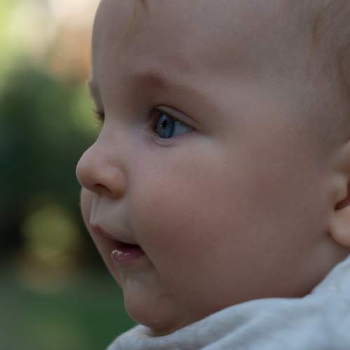 Photo #7266268