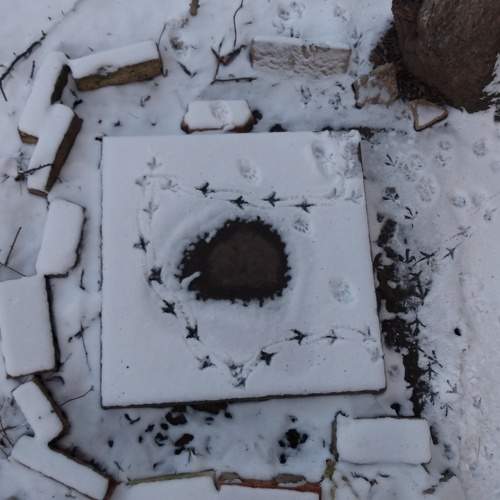 Photo #7266288