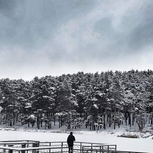 Photo #7266430