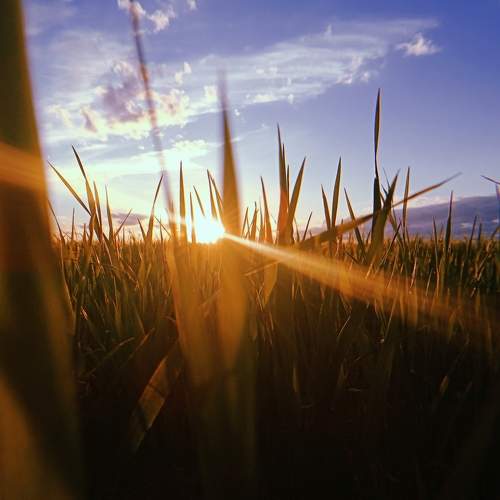 Photo #7266597