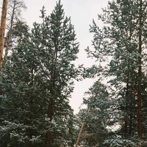 Photo #7266598