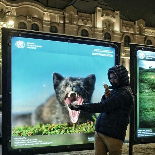 Photo #7266961