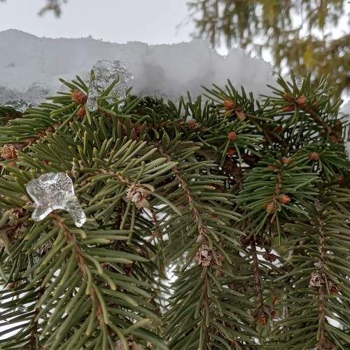 Photo #7267139