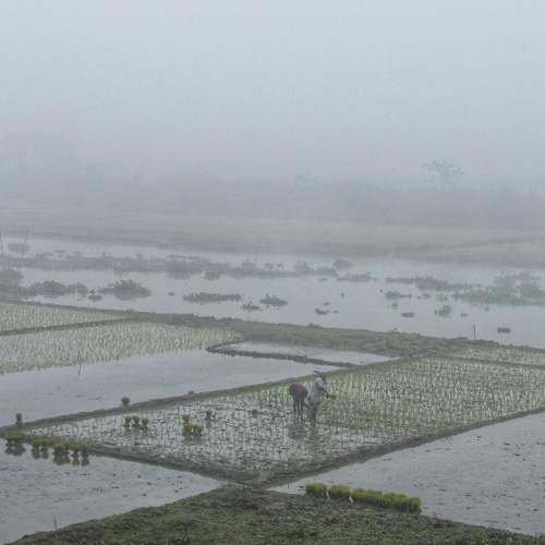 Photo #7267517