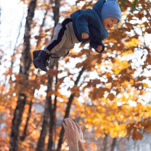 Photo #7267580