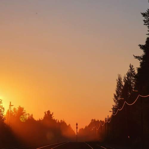Photo #7267638
