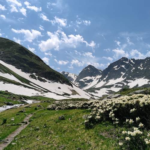 Photo #7267660