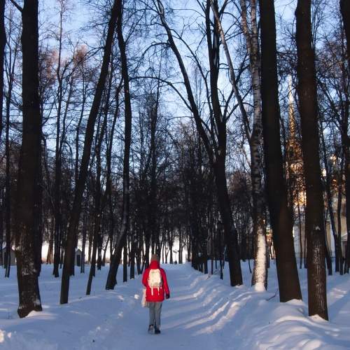 Photo #7267896