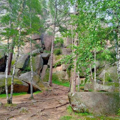 Photo #7268119