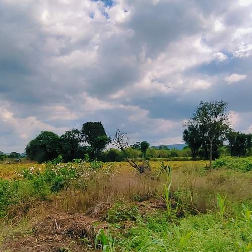 Photo #7268231