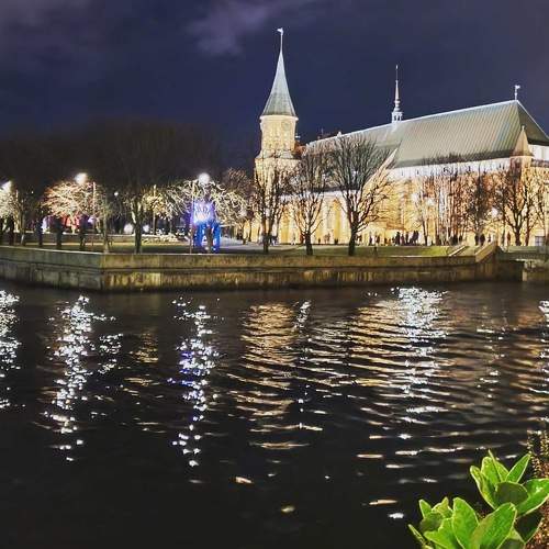 Photo #7268404