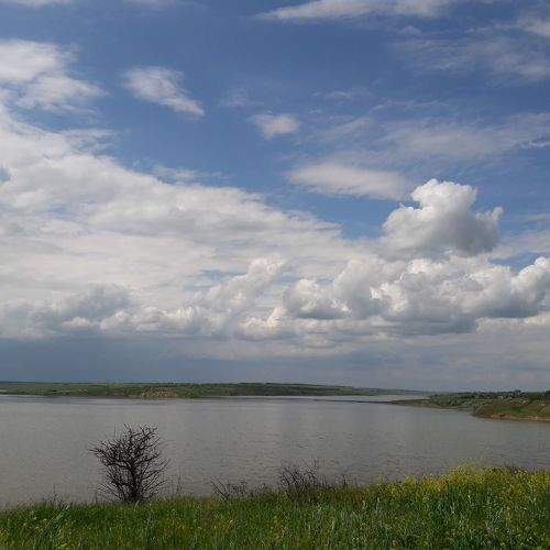 Photo #7268427