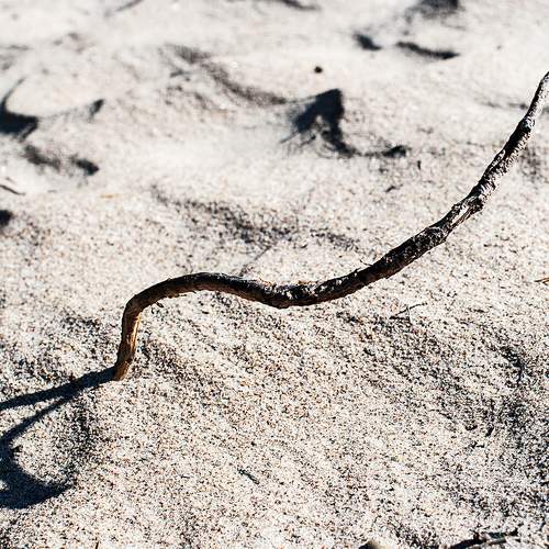 Photo #7268465