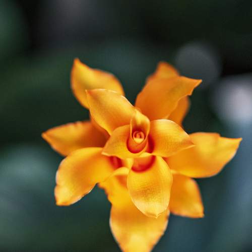 Photo #7268718